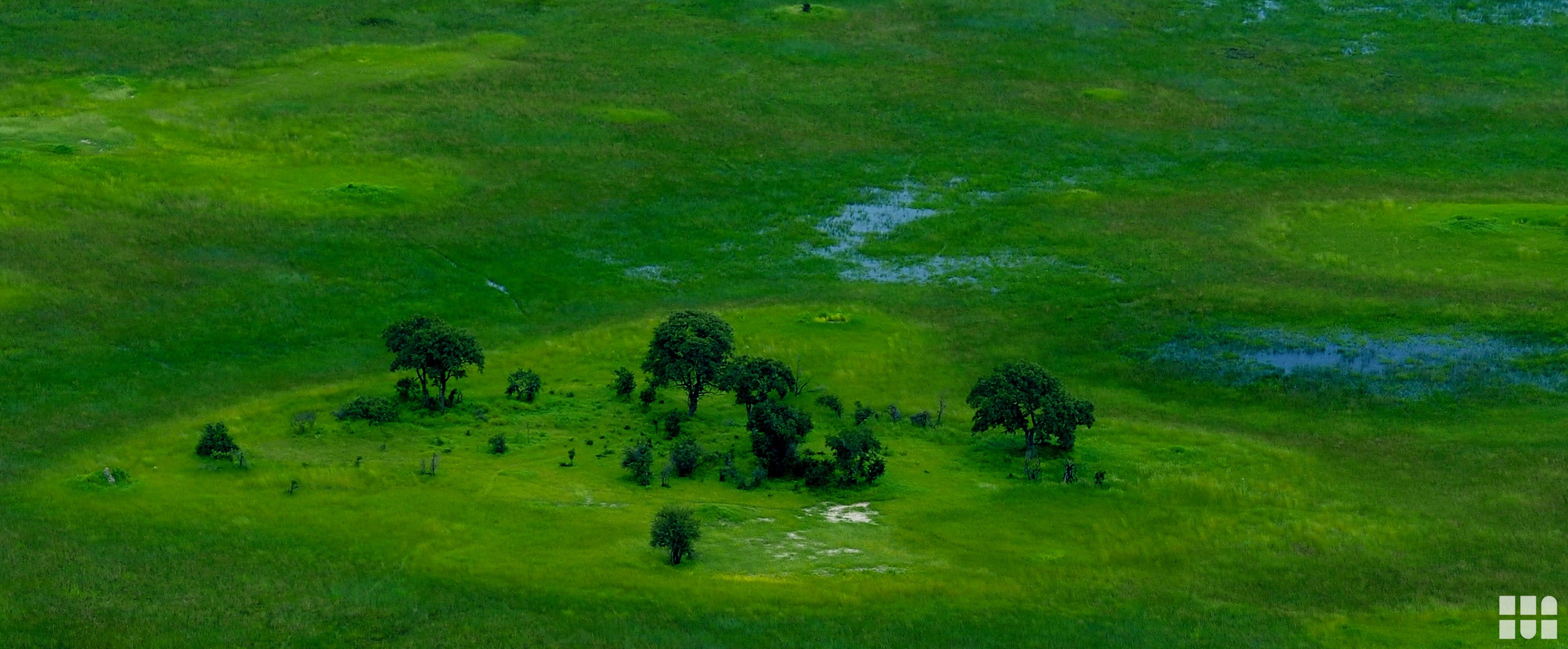 bumeimdelta-3471x1552